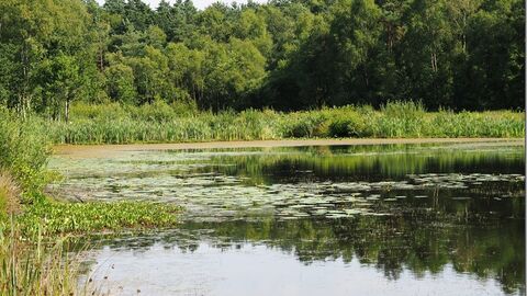A view from End Lake Platform