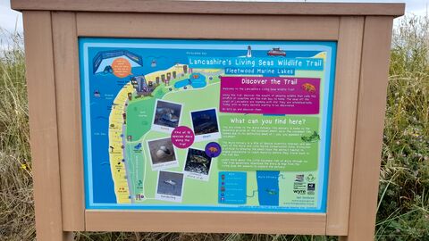 The picture is of a map showing the Lancashire Living Seas Trail in Fleetwood
