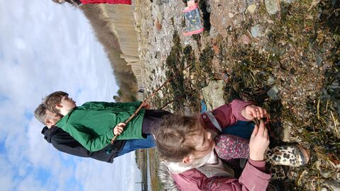 five people are seen exploring the tidal strandline on a beach