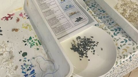 Small pieces of different types of plastic sorted into groups