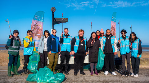 12 people stand with their backs to the beach holding litter pickers and bags of rubbish