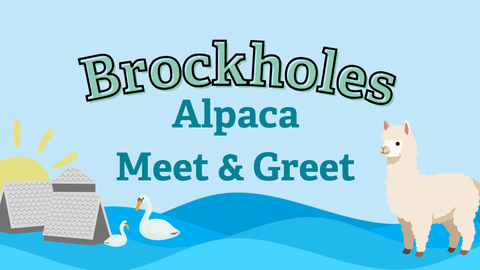 Brockholes Alpaca Meet & Greet