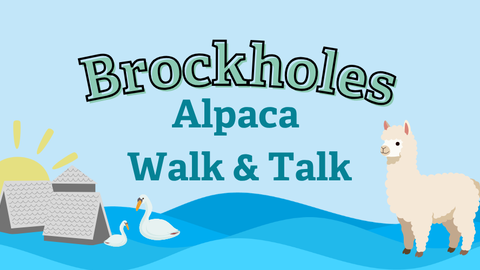 Brockholes Alpaca Walk & Talk