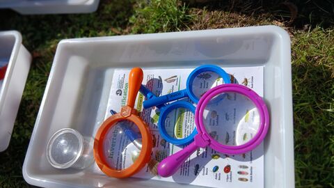 Tray with surveying equipment