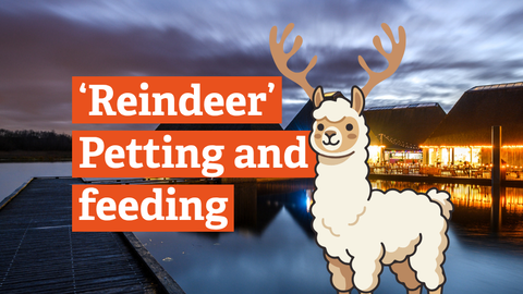 'Reindeer' Petting and Feeding with cartoon image of alpaca wearing reindeer antlers