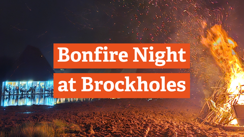 Bonfire Night at Brockholes