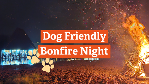 Dog Friendly Bonfire Night