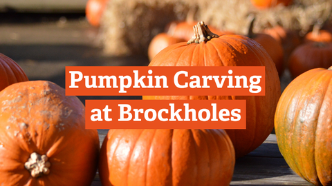 Pumpkin Carving at Brockholes