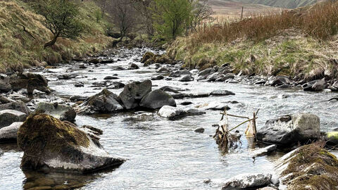 River