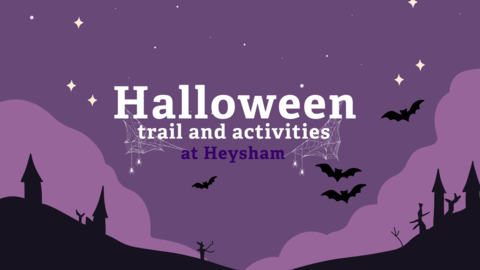 Halloween activities at HNR