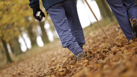 The legs of a couple walking through autumn leaves in a forest