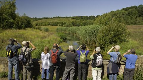 Group of birdwatchers looking out using binoculars