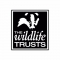The Wildlife Trusts black and white badger logo