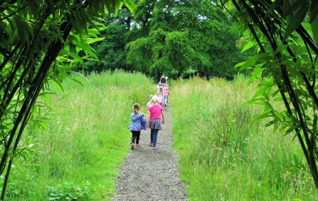interactive nature space at the HIVE