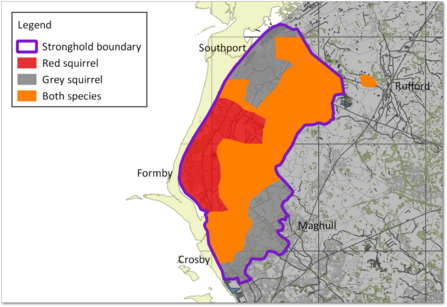 Red squirrel distribution map