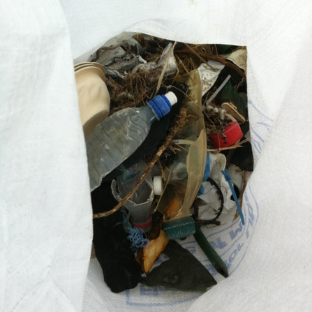 Beach Litter