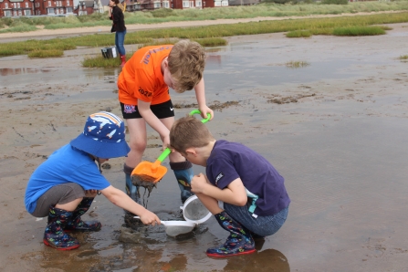 Children digging into coastal mud at a mud dipping event
