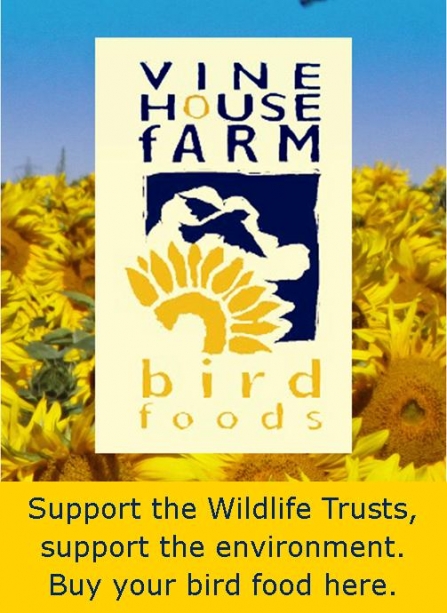 Vine House Farm