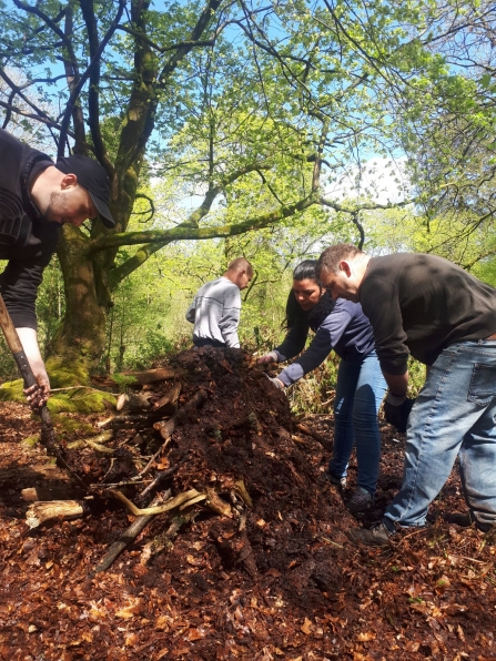 Duxbury Wood Hub