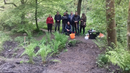 Duxbury Wood Hub