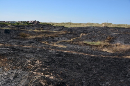 The St Annes sand dunes blackened by fire