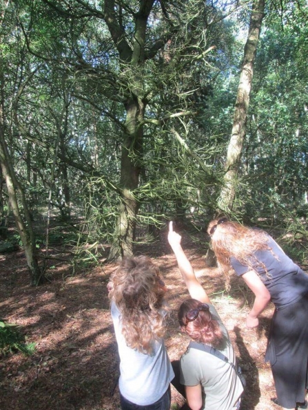 Rachel Cripps, Molly, and Clare Sweeney