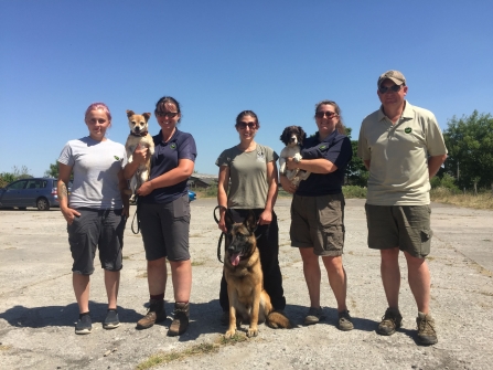 Detection Dogs for Red Squirrels