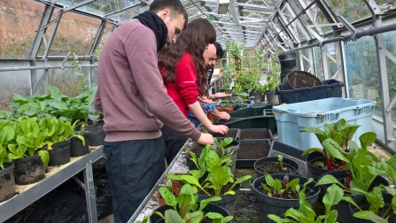 Myplace volunteers at Witton Park planting flowers