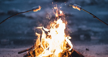 Campfire