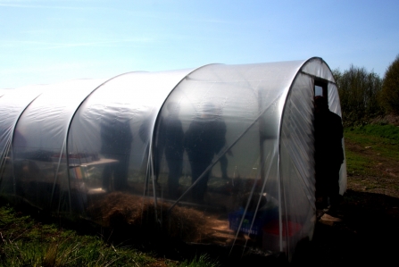 The polytunnel that was destroyed by thieves at Little Woolden Moss