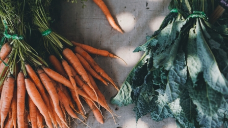 Freshly-picked carrots and kale