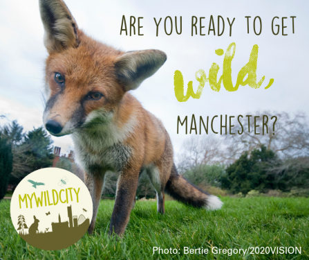 Are you ready to get wild Manchester (c) Bertie Gregory/2020VISION