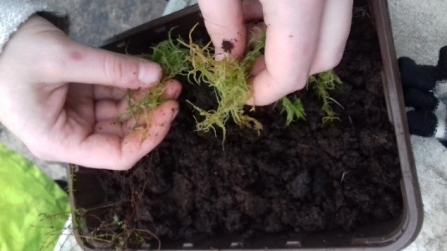 Bog in a Box