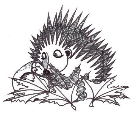Illustration of a hedgehog sleeping in a pile of leaves