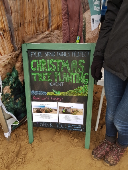 Christmas Tree Planting