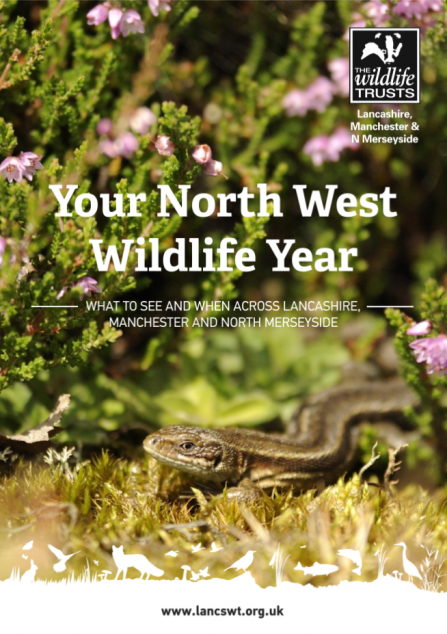 Download a guide to when to see wildlife across North West England, from season to season