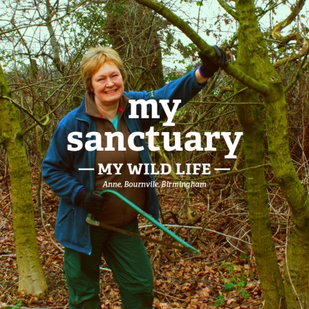 Anne with a saw in the woods 