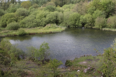 A pool at Kirkless nature reserve, which is owned by Lancashire Wildlife Trust