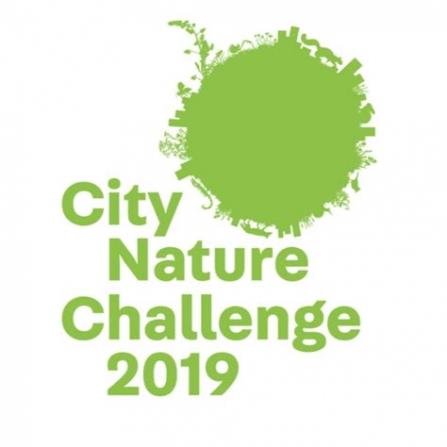 City Nature Challenge 2019