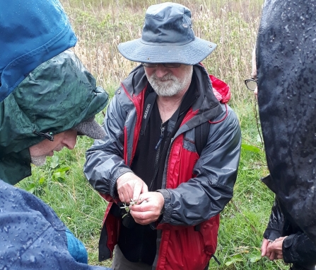 City Nature Challnge recording event at Moston Fairway Nature Reserve