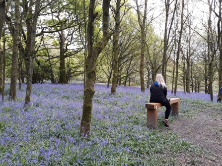Mindfulness in bluebell woods
