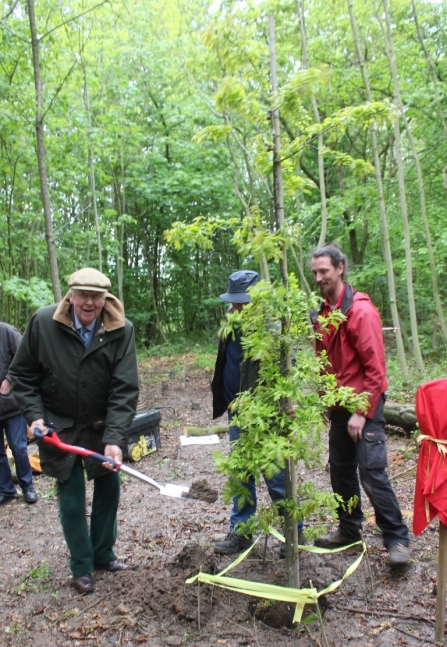 Planting a tree - Lord Shuttleworth plants a commemorative tree