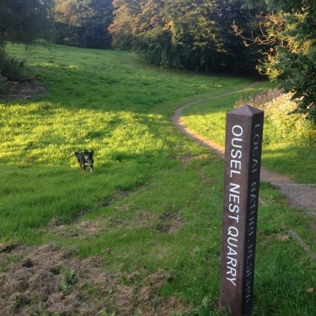 New signage at Ousel Nest LNR