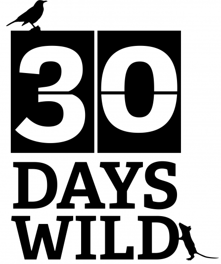 30 Days Wild