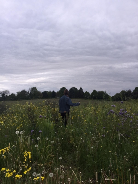 Nature blogger Jennifer Lane walking through a wildflower meadow