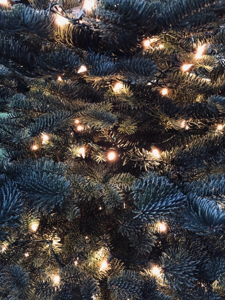 Close-up of fairy lights in Christmas tree branches