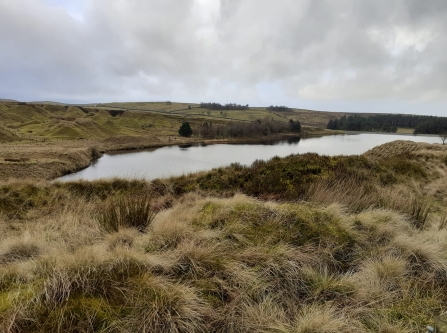 Upper Coldwell Reservoir in Nelson photographed during winter