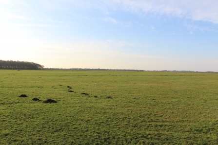 The site of the Winmarleigh Carbon Farm before any work had been carried out