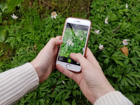 Wildlife recording inaturalist