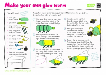 Glow worm